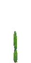 Cactus 03.png