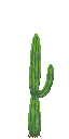 Cactus 04.png
