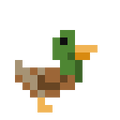 Enchanted Duck