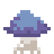 小蓝菇